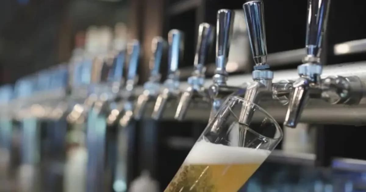 Claves para seleccionar una cerveza de calidad según una experta sommelier