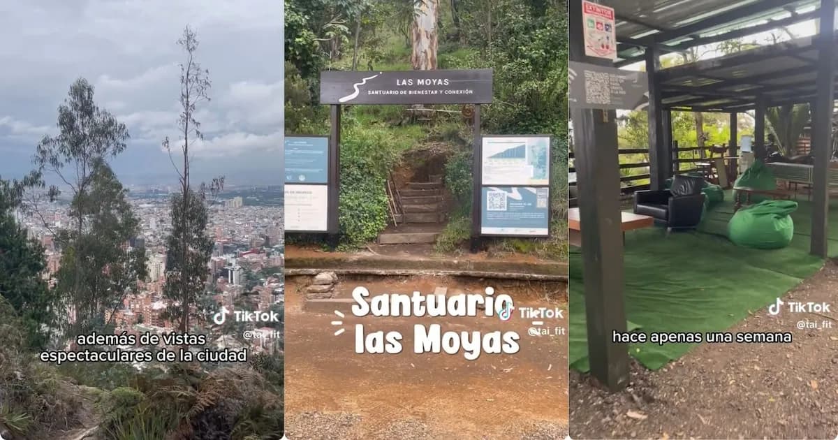 Descubrí el Santuario Las Moyas: un paraíso natural en los cerros de Bogotá