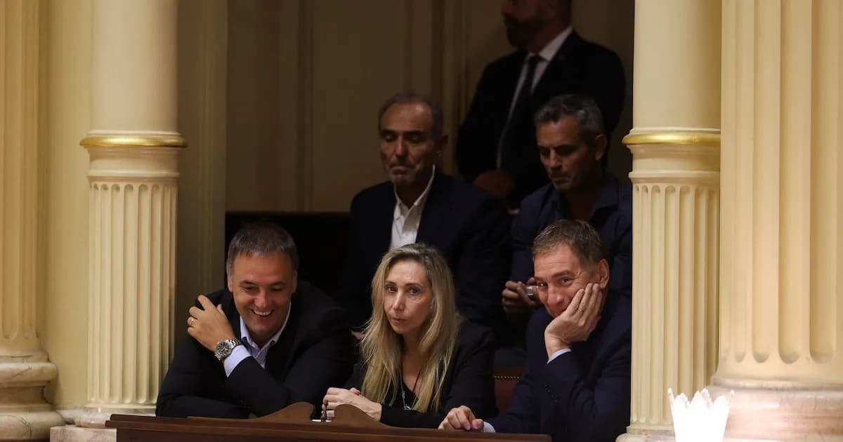 Desafíos en la Reforma Electoral: Las PASO, Ficha Limpia y la Tensión Política