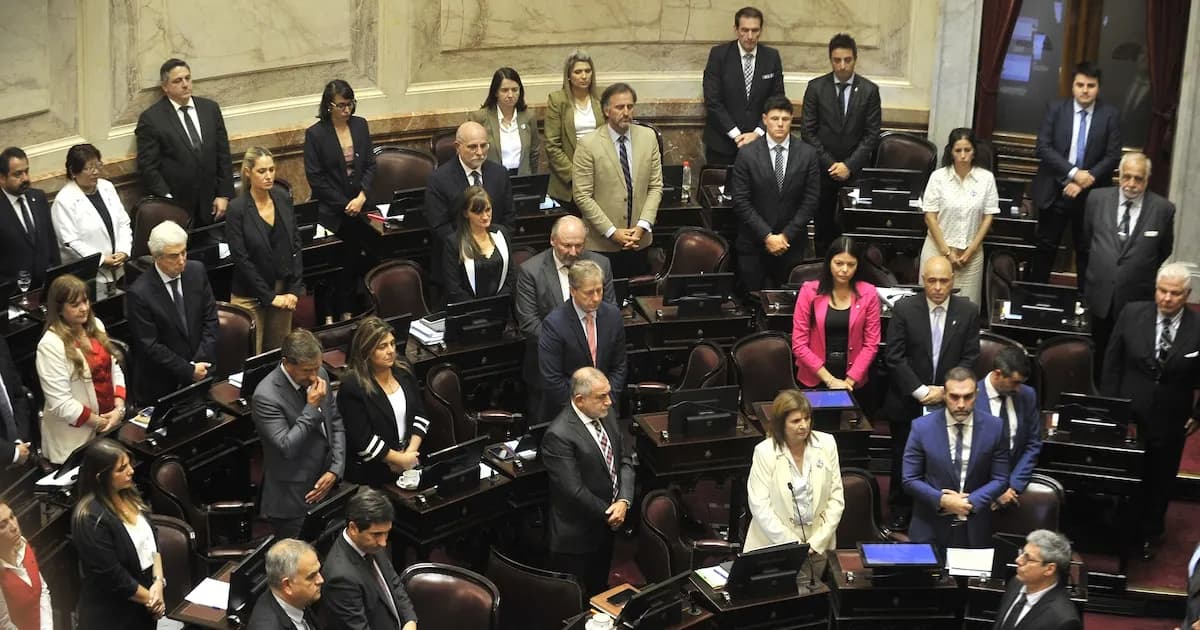 Senado: Ultimátum hasta agosto para debatir leyes del Gobierno libertario