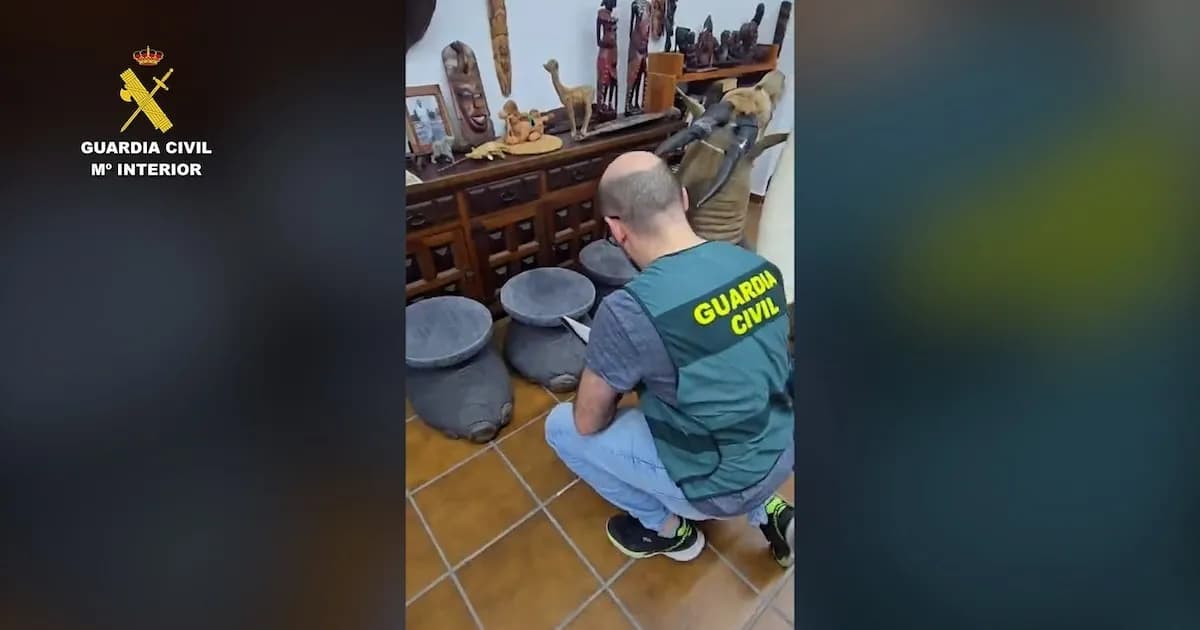 Detenido en Almería por comercio ilegal de alfombras de piel de león y especies protegidas