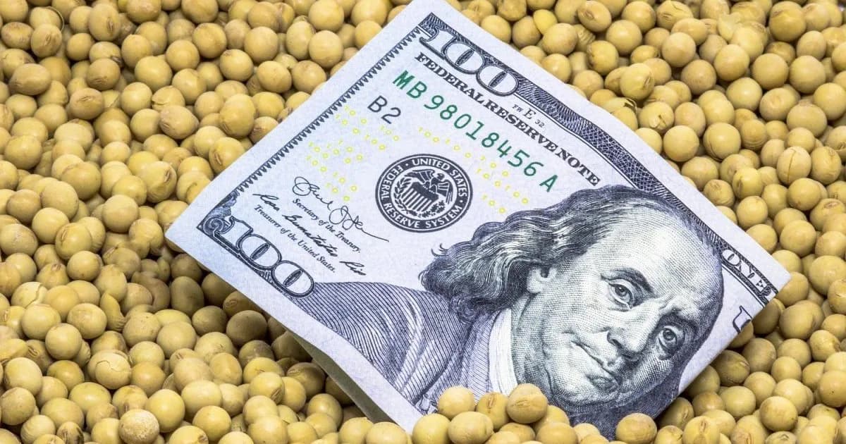 Eliminar retenciones podría impulsar exportaciones a u$s50.500 millones y aumentar recaudación