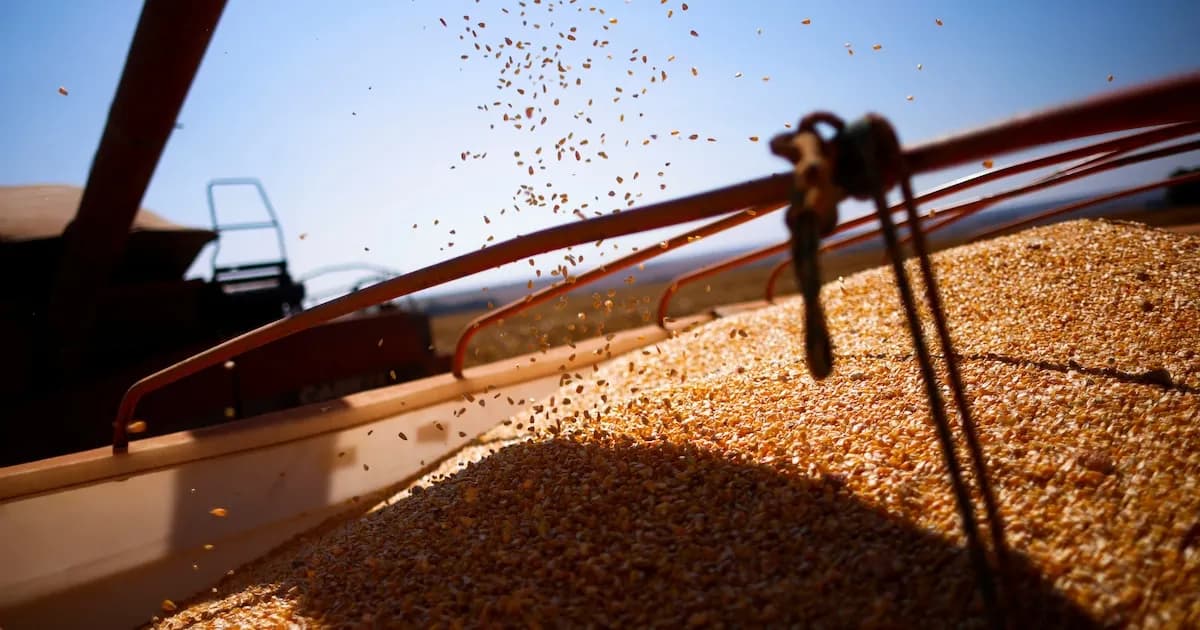 Argentina se posiciona como líder en exportaciones agrícolas en un contexto global cambiante