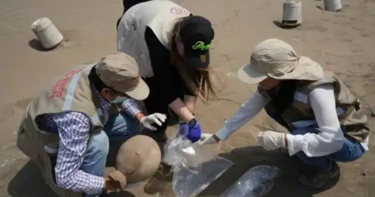 Piezas arqueológicas en subastas internacionales generan alarma por tráfico ilícito en Perú