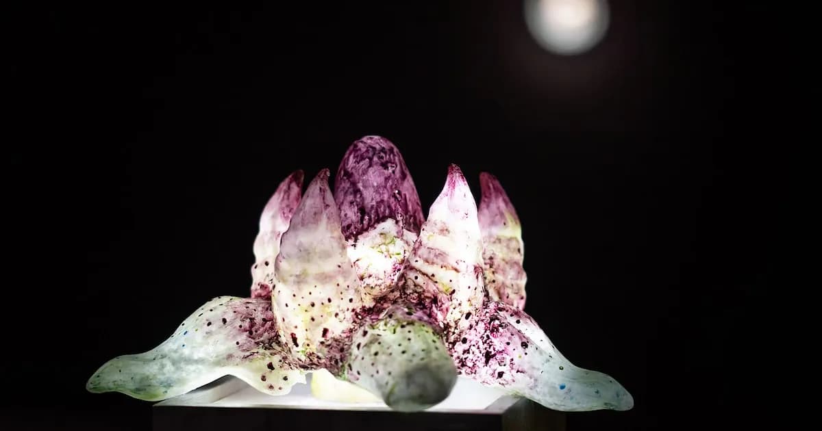 Inauguran un laboratorio para artistas jóvenes con la muestra 'Estadío Inicial' en el CC Borges