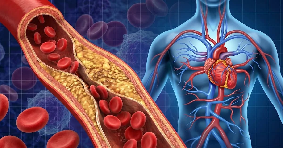 Estudio revela que hipertensión y obesidad incrementan el riesgo de cáncer hasta un 30%
