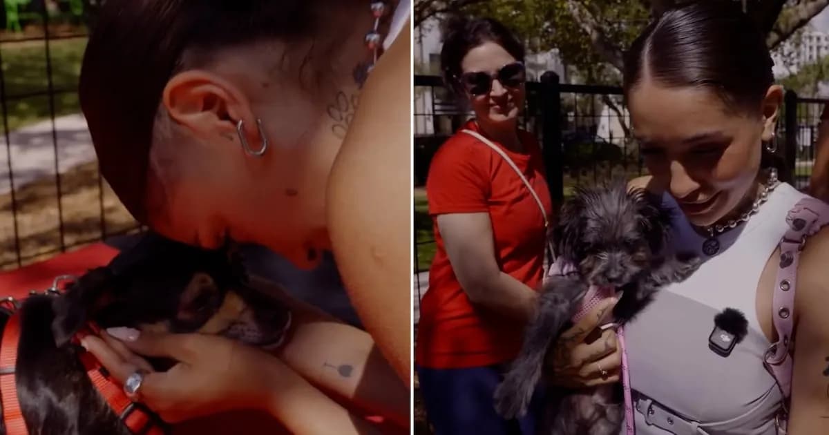 María Becerra adopta un perro en Miami y comparte su emoción con los seguidores