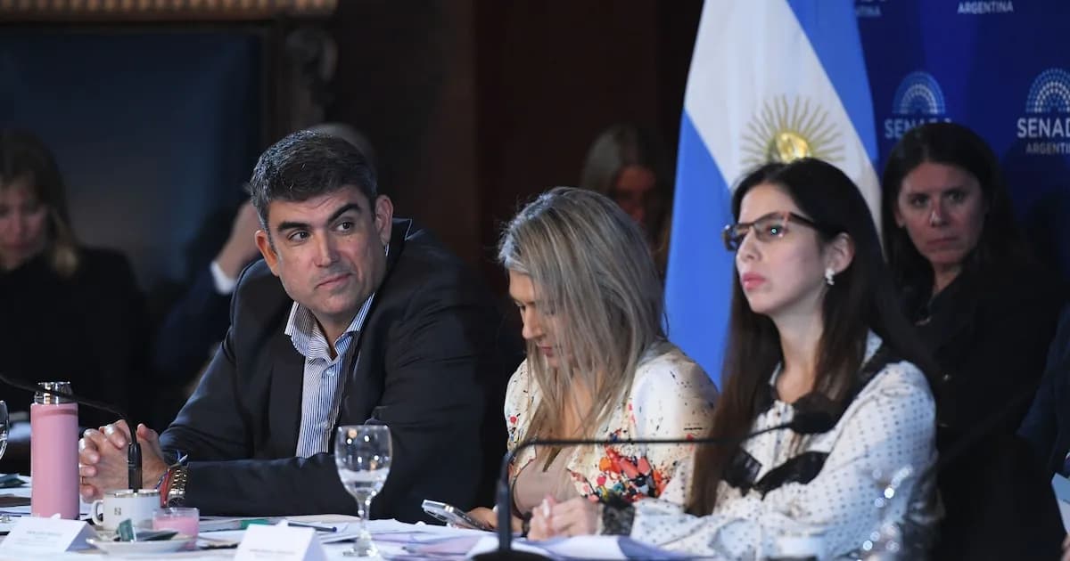 Comienza el debate en el Senado sobre la reforma de la salud mental en Argentina