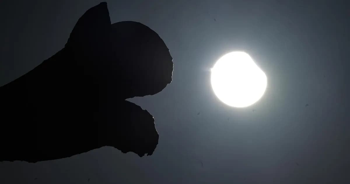 Nuevos recursos digitales para observar el eclipse total de Sol en 2026
