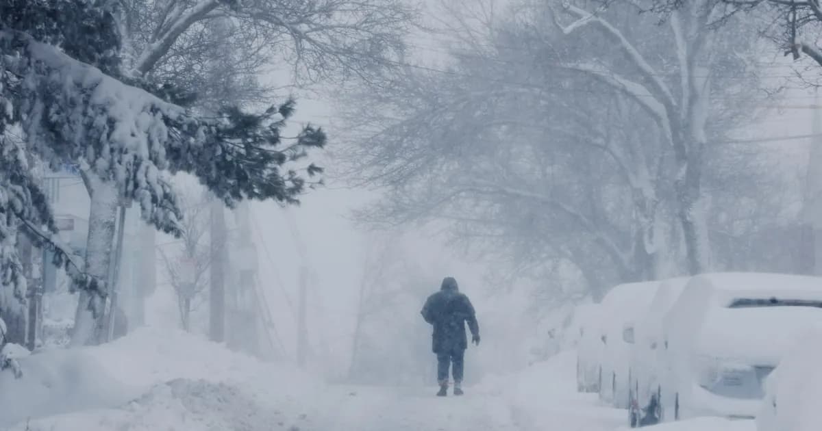 Alerta por tormenta invernal en EE.UU.: se esperan hasta 30 cm de nieve en varias regiones