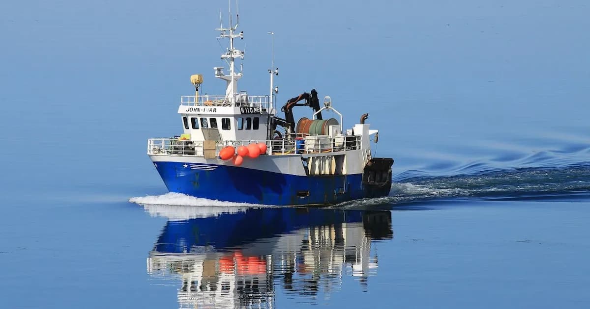 Impacto devastador de la pesca de arrastre en Europa: pérdidas ambientales y económicas