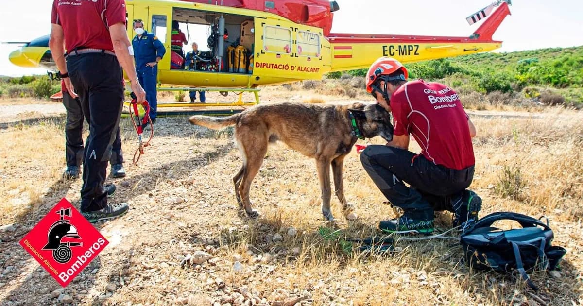 Fallece Titan, el héroe canino del Consorcio de Bomberos de Alicante