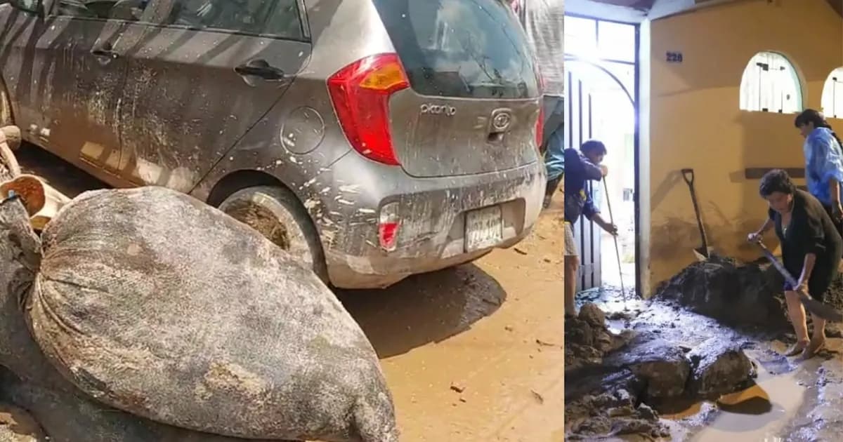 Desastres en Arequipa: huaicos devastan viviendas y vehículos tras intensas lluvias