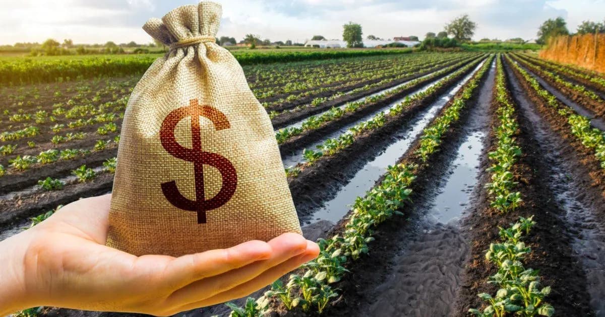 Impacto de la reducción de derechos de exportación en la recaudación agrícola