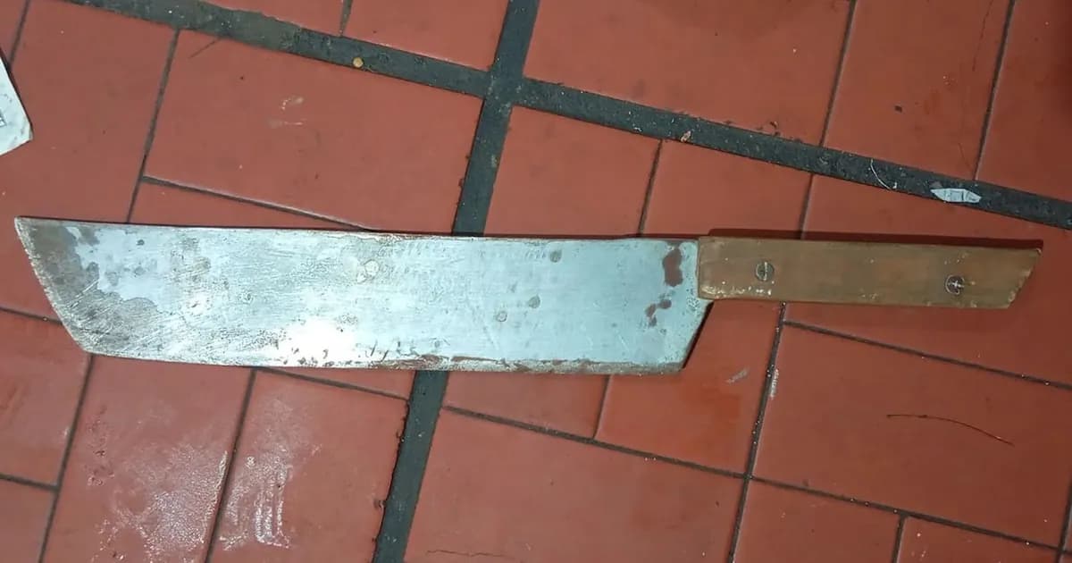 Detienen a dos delincuentes tras un intento de asalto en un hotel de Constitución