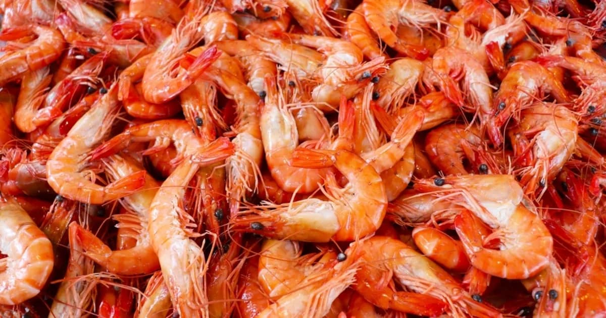 Posible solución al conflicto pesquero que afecta la exportación de langostino en Argentina