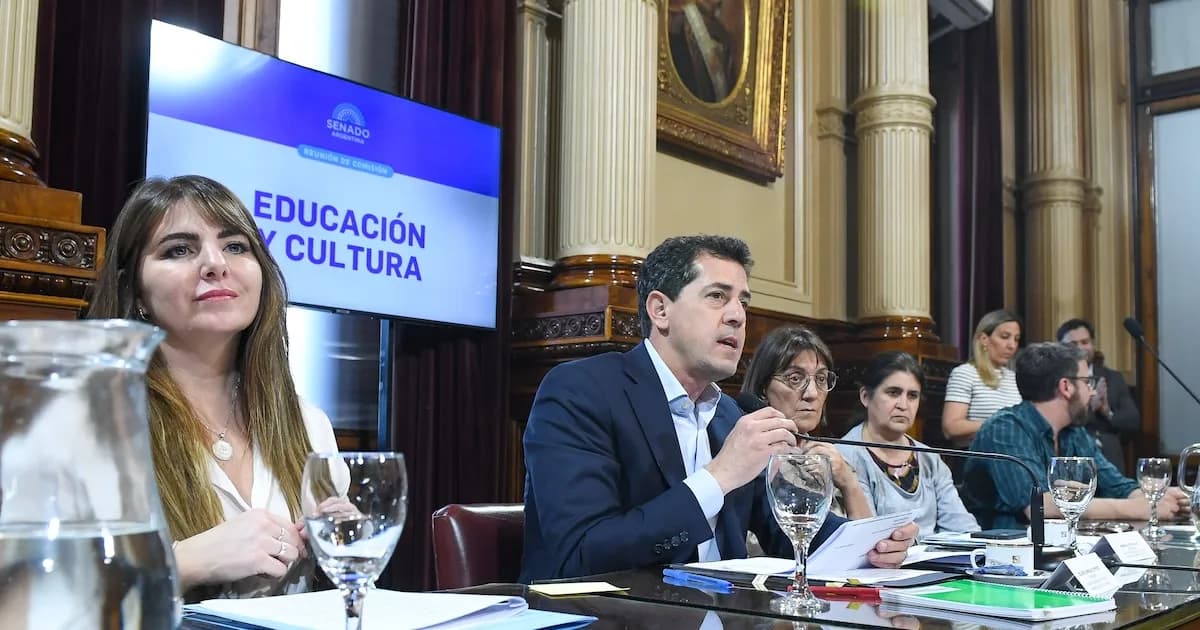 Unión Legislativa por el Bullying: Jornada Obligatoria en Escuelas Argentinas