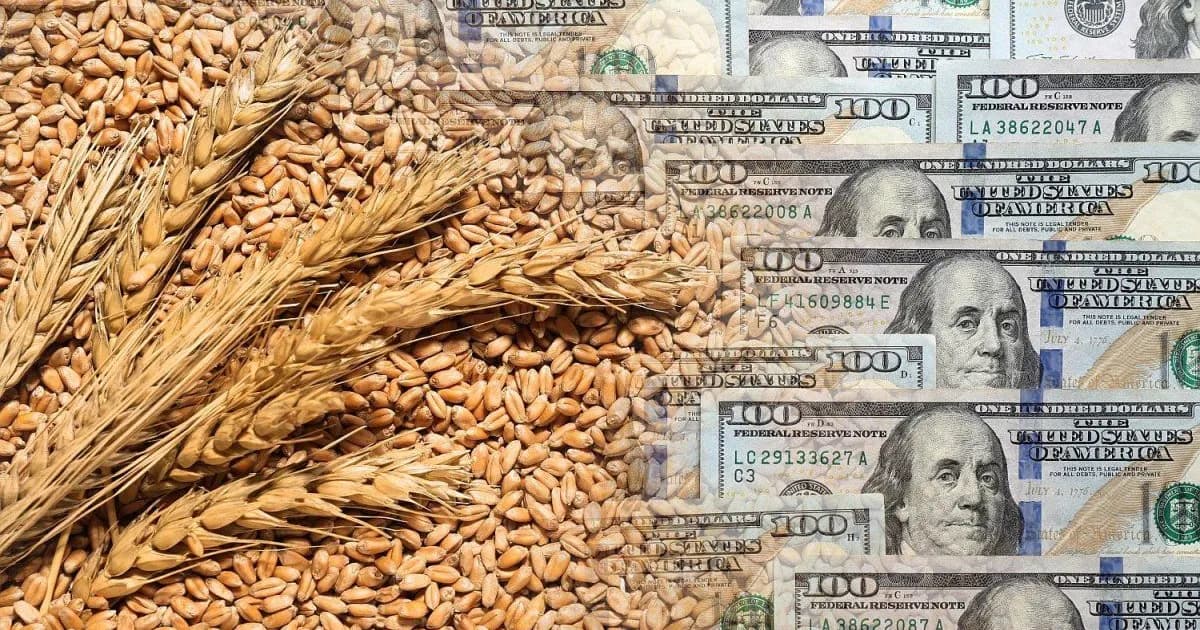 Caída del 11% en la liquidación de dólares del agro al inicio de la cosecha gruesa