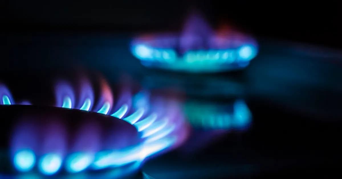 El Gobierno oficializa nuevos cuadros tarifarios de gas con bonificación del 25%