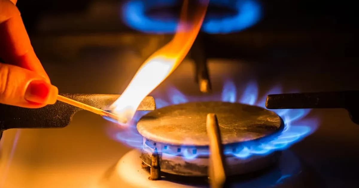 Milei propone recortar subsidios al gas y modificar el régimen de zona fría
