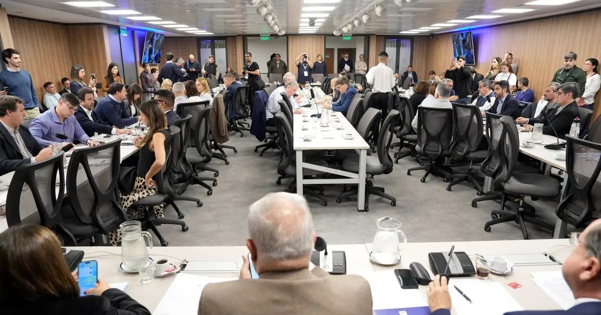 Industria Textil en Crisis: Directivos Exigen Medidas Urgentes ante Importaciones