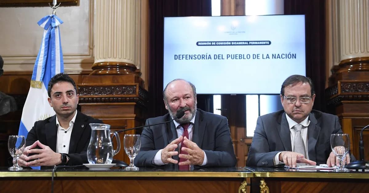 El Congreso crea tres comisiones bicamerales bajo control de libertarios y radicales