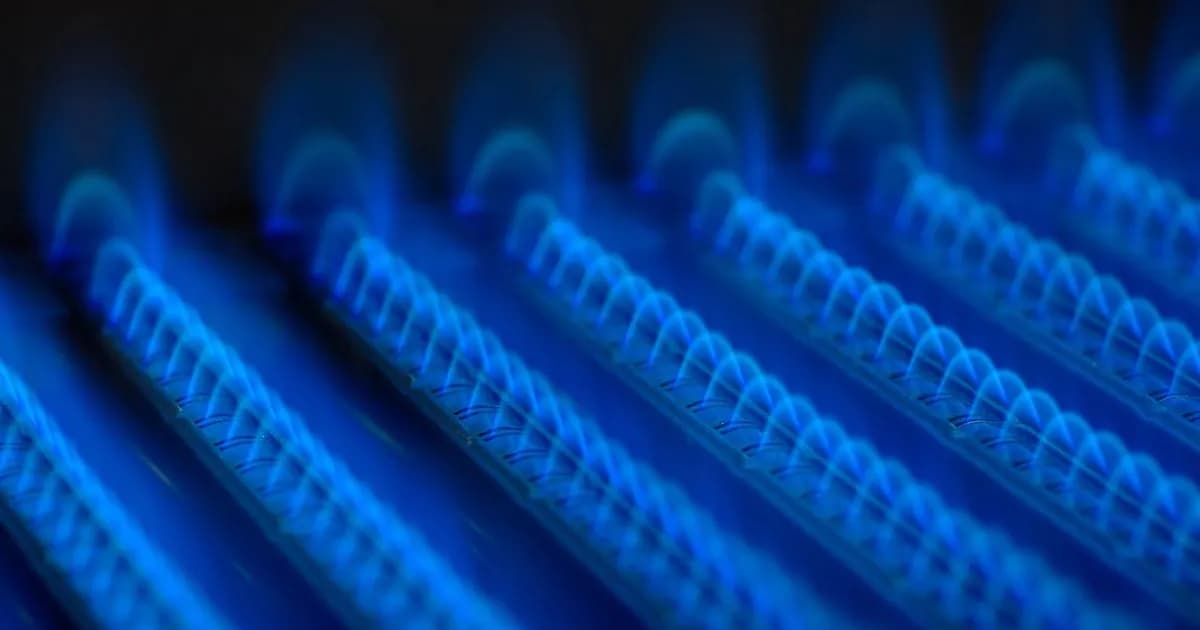 El Gobierno busca reducir subsidios al gas natural en Zona Fría