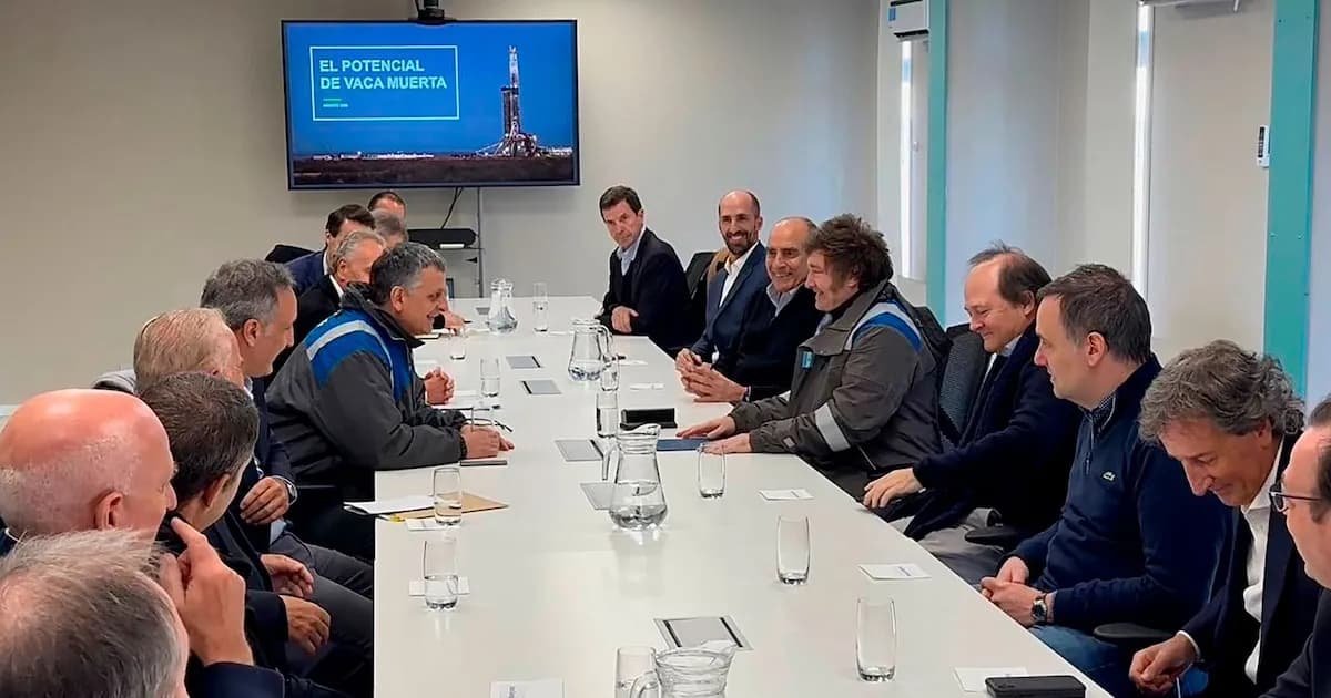 Milei y el reto de transformar la riqueza energética en progreso nacional