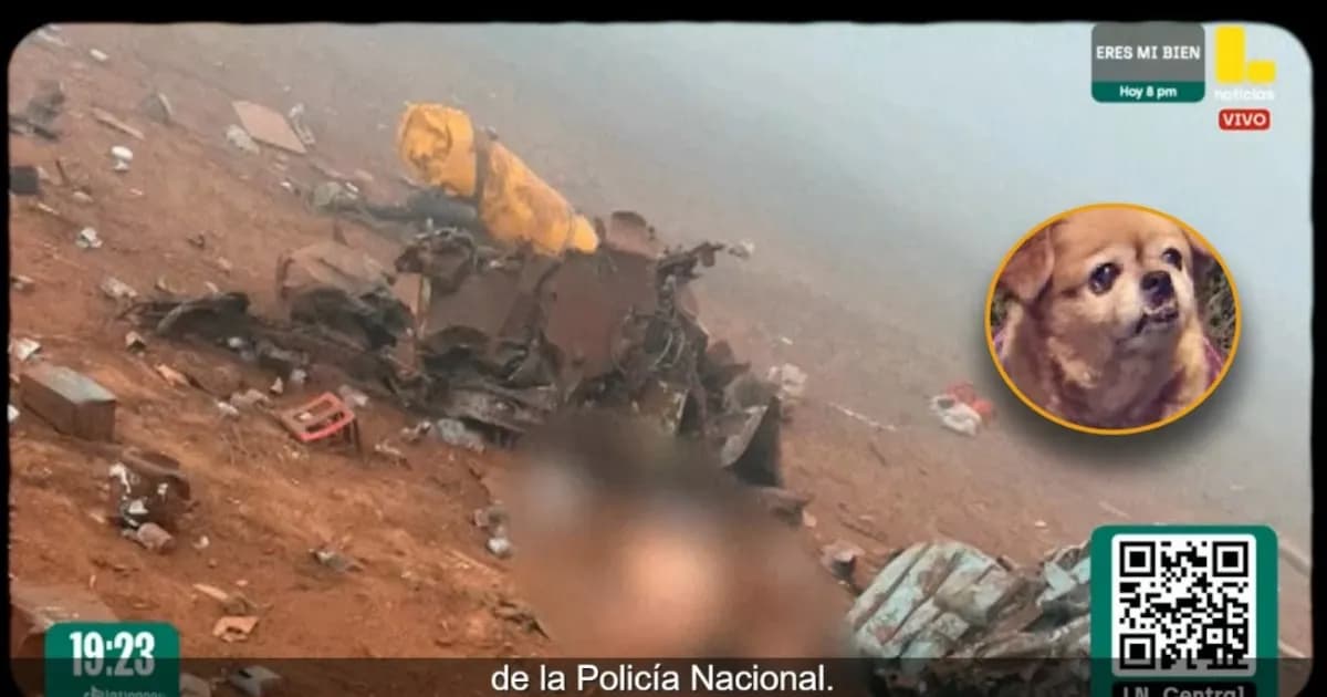 Un perro leal sobrevive a un trágico accidente de helicóptero en Arequipa