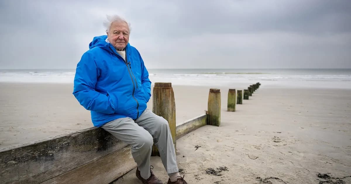 El secreto de David Attenborough para alcanzar los 100 años: propósito y curiosidad inquebrantable