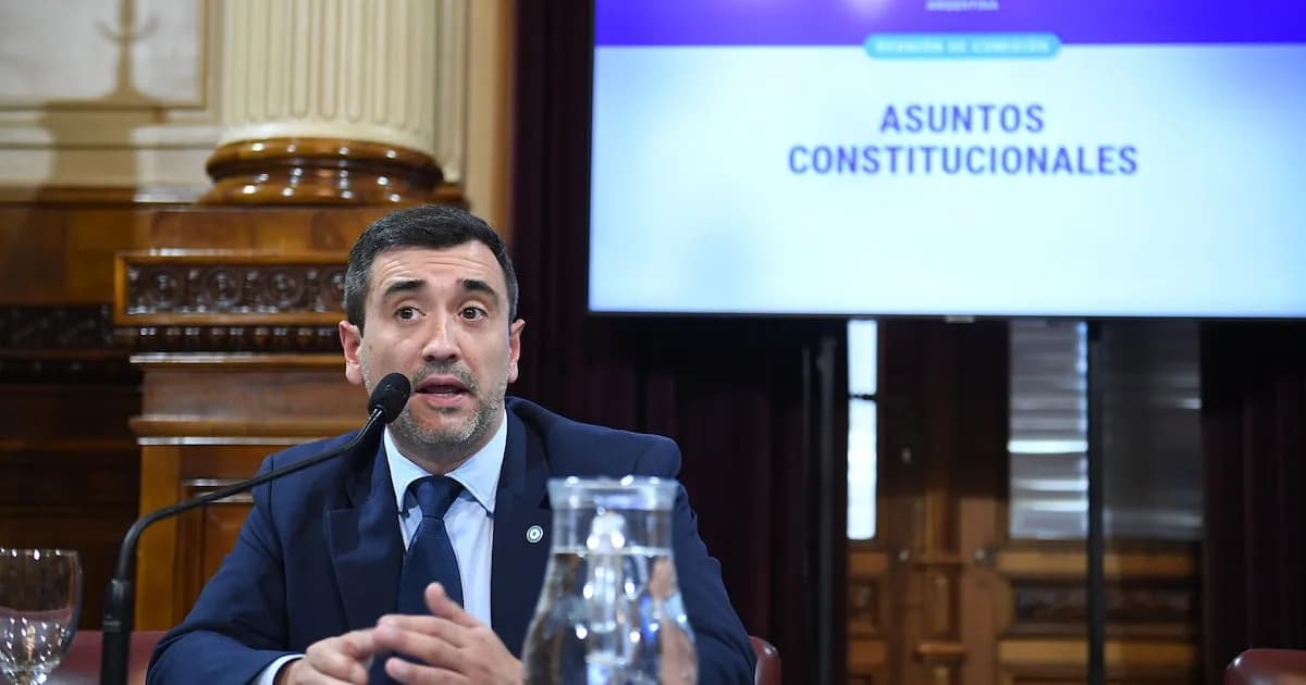 El Senado comenzará a debatir la reforma electoral y los aliados demandarán Ficha Limpia por separado