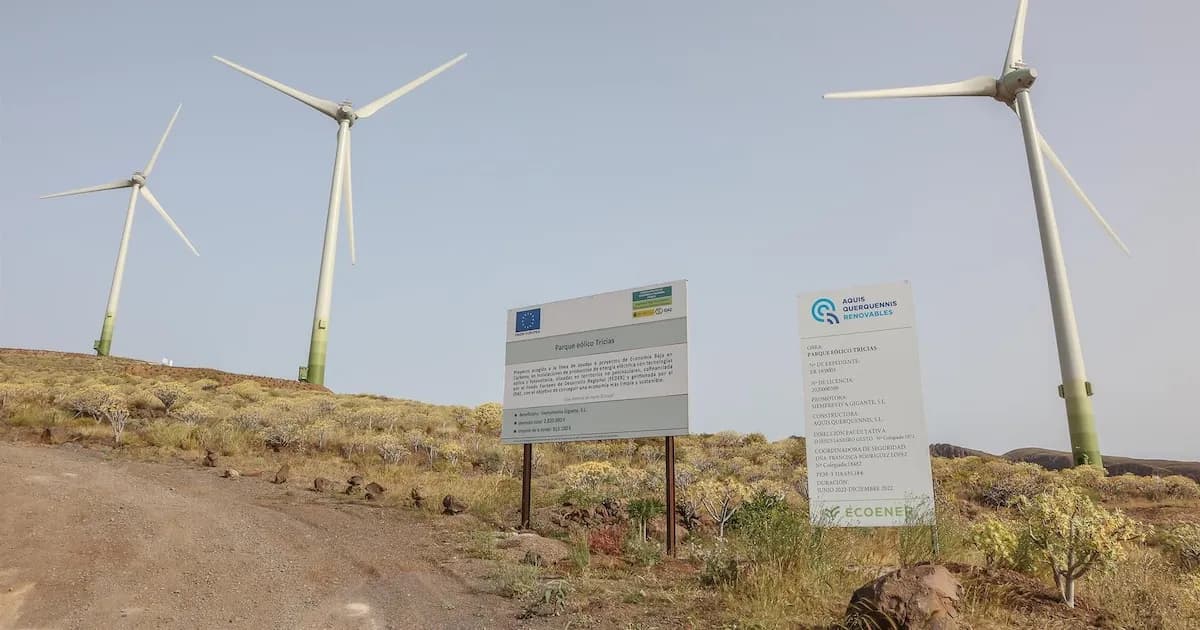 Ecoener alcanza una drástica reducción del 80% en sus emisiones de CO2 en 2025