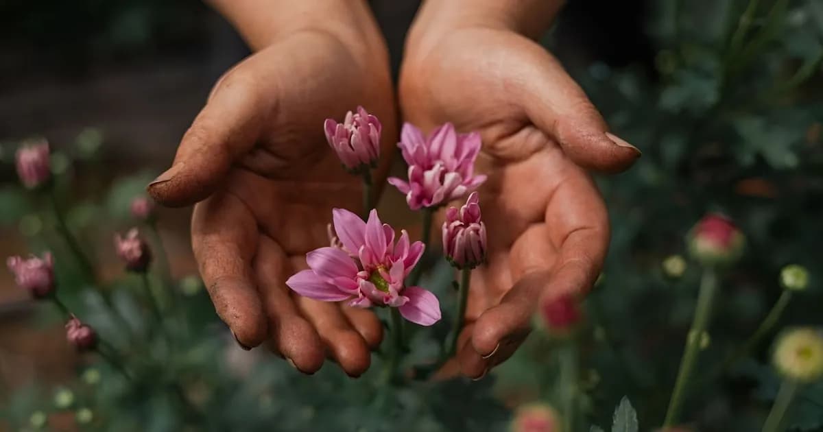 Misiones apuesta a la floricultura con tecnología y sustentabilidad en la selva subtropical
