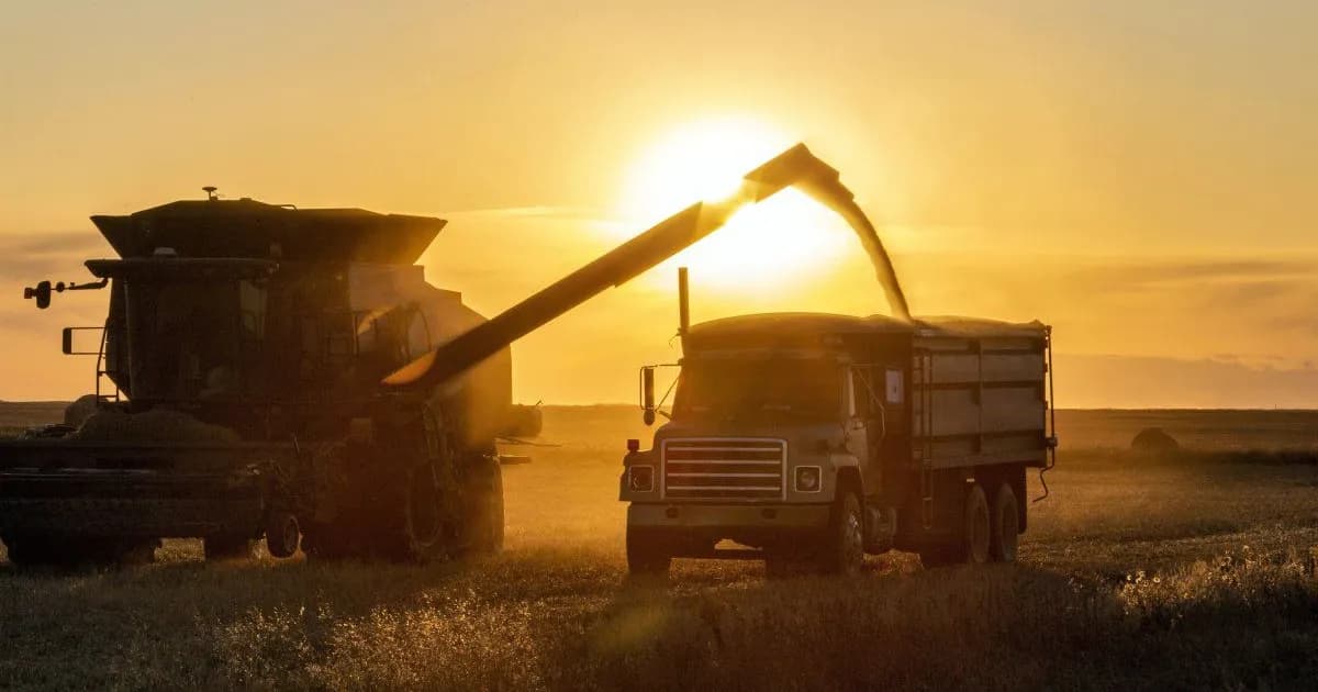 El BCRA reduce sus compras de dólares en mayo a pesar del aumento en la liquidación agrícola