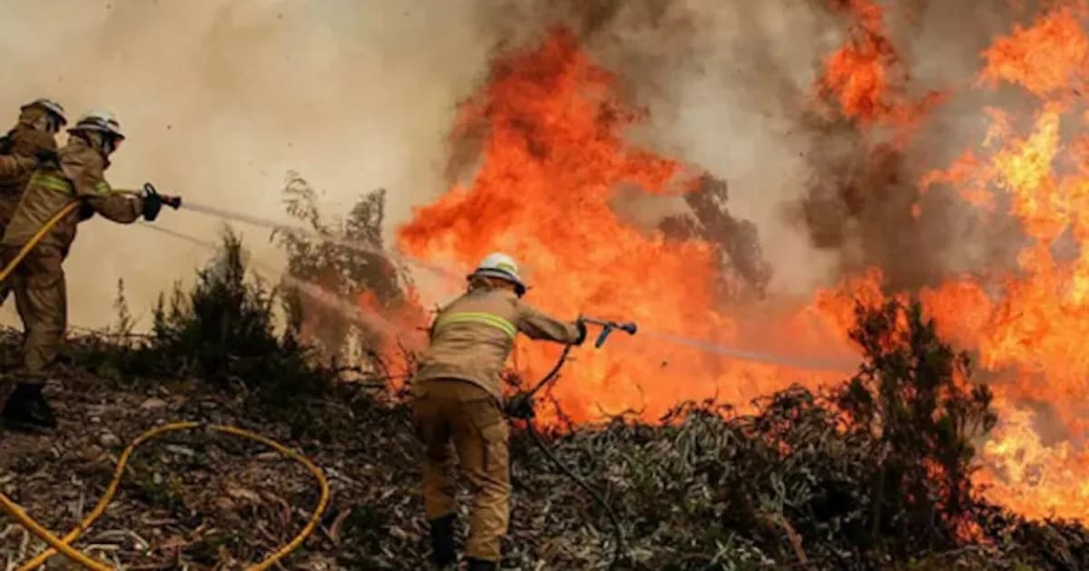 Honduras enfrenta crisis por más de 640 incendios forestales y 30 mil hectáreas afectadas