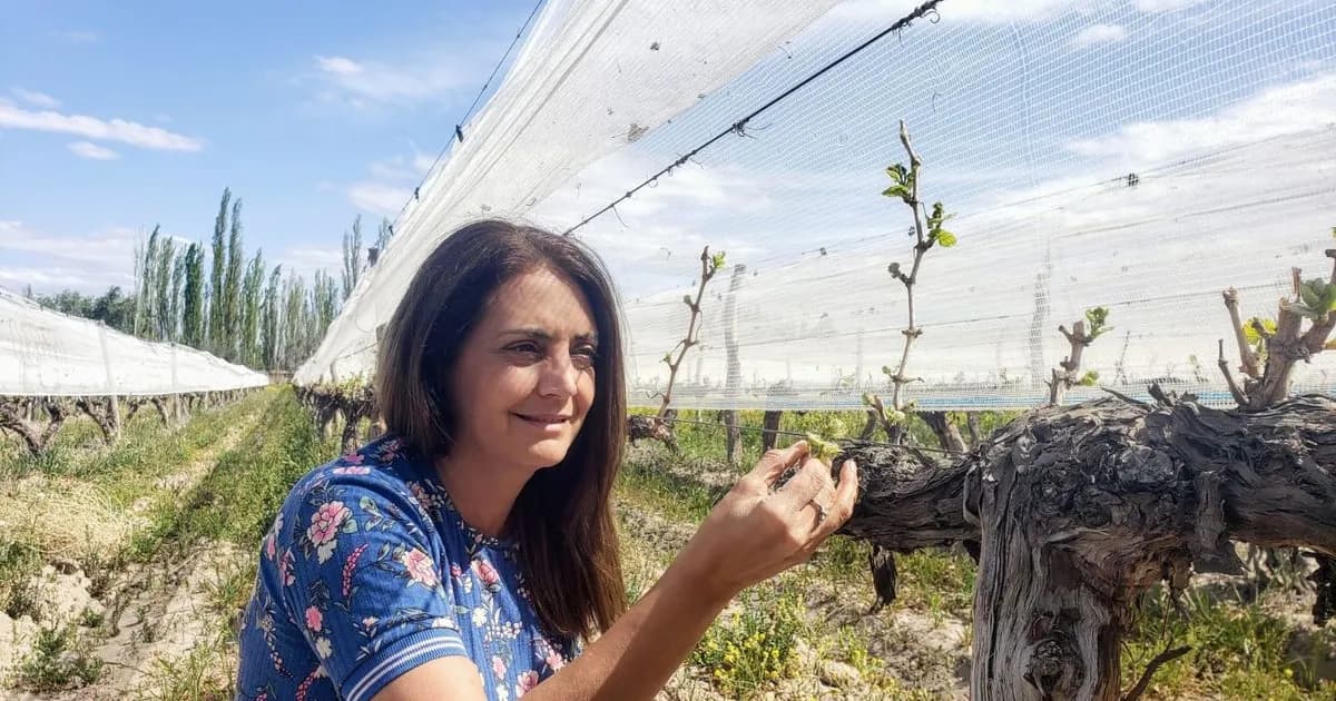 Crisis en la Vitivinicultura Argentina: El Futuro de Coviar en Debate