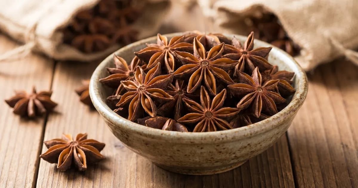 El anís estrellado: un tesoro medicinal y culinario con múltiples beneficios