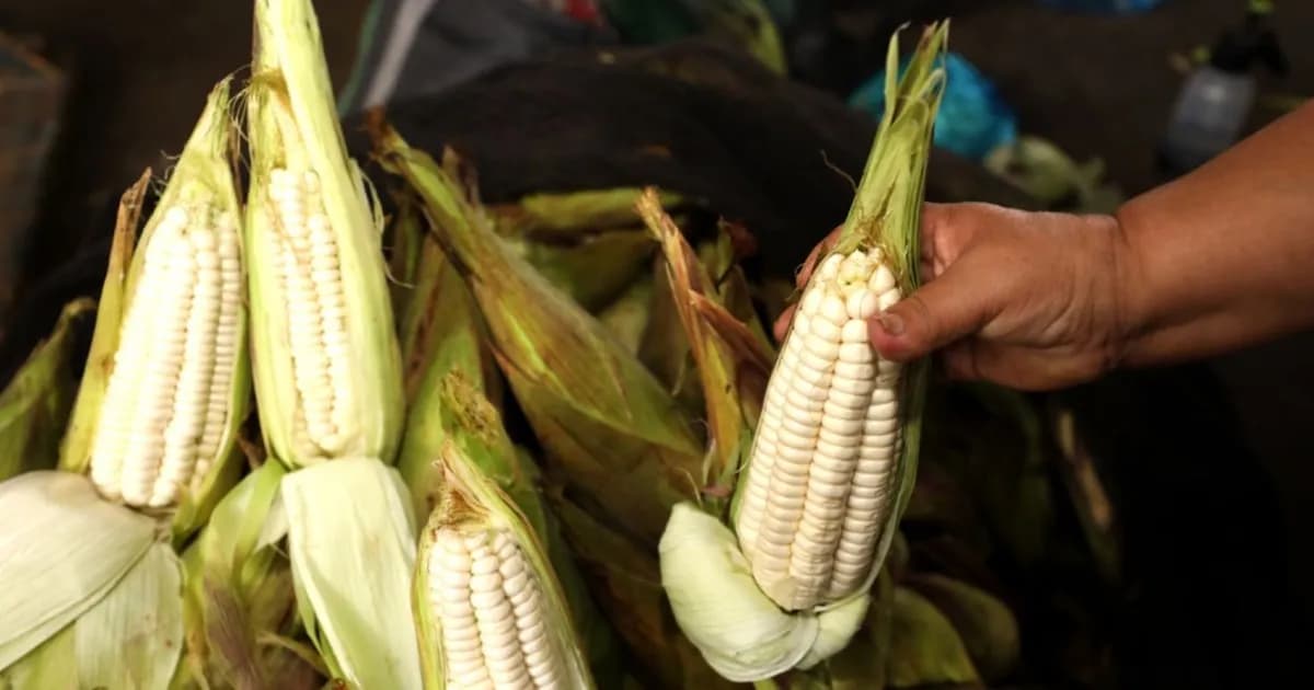 Mercados de Lima: La oferta de alimentos se mantiene estable tras los huaicos