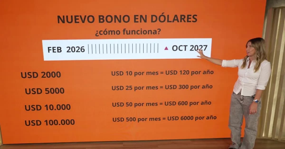 Nuevo bono en dólares del Gobierno: beneficios y consideraciones para ahorristas