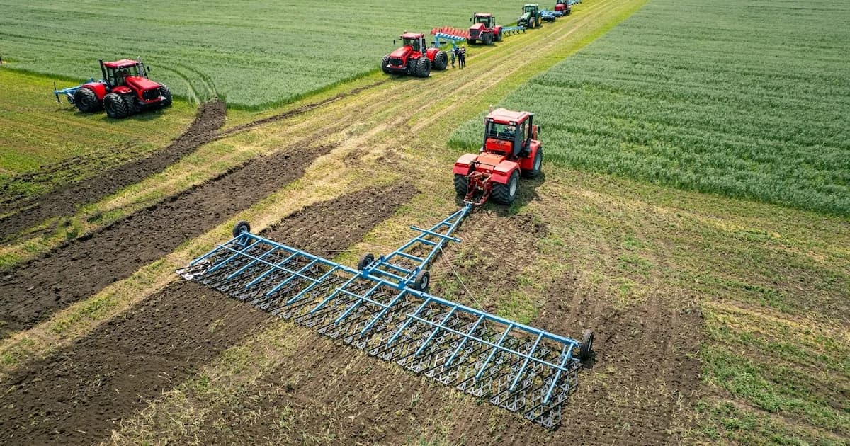 Análisis del desempeño económico por sectores en 2025