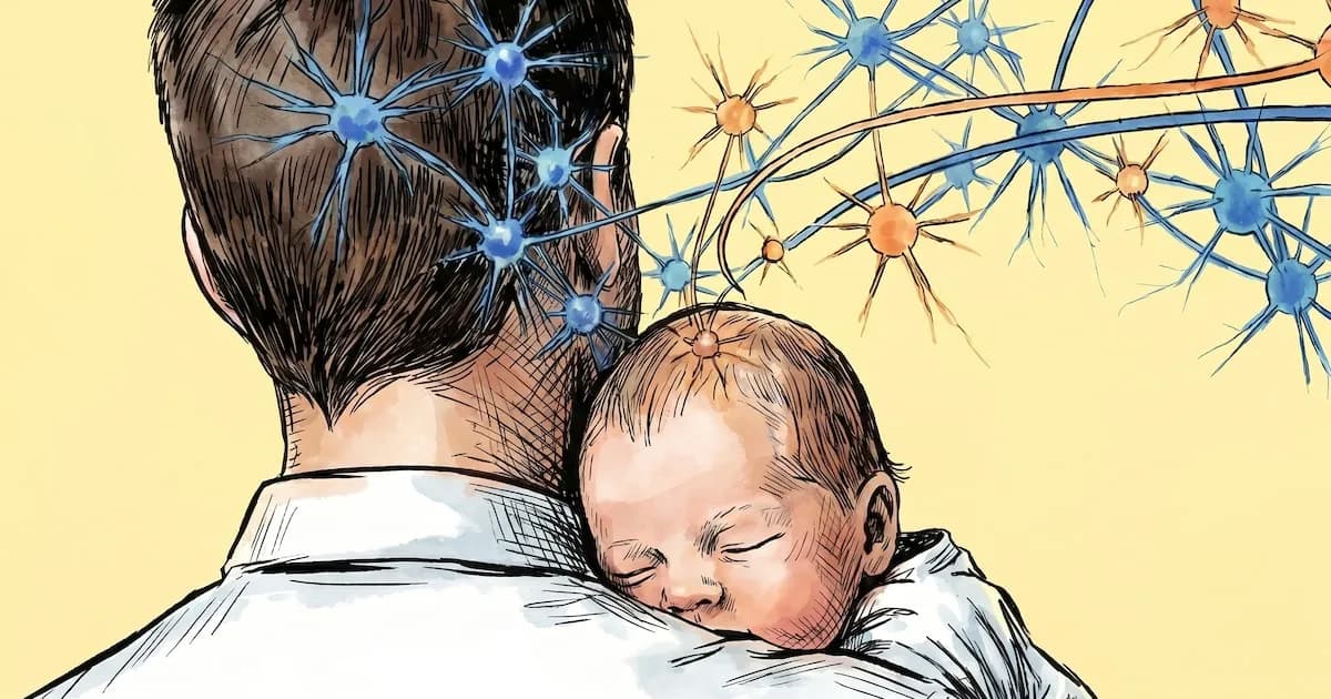 Impacto de la Paternidad en el Cerebro: Un Estudio Revelador
