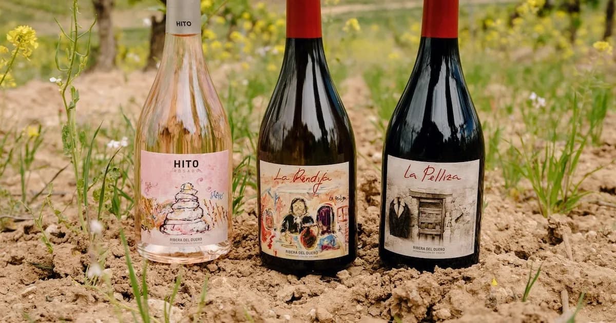 Cepa 21 reinventa su propuesta vinícola con nuevos lanzamientos en Ribera del Duero