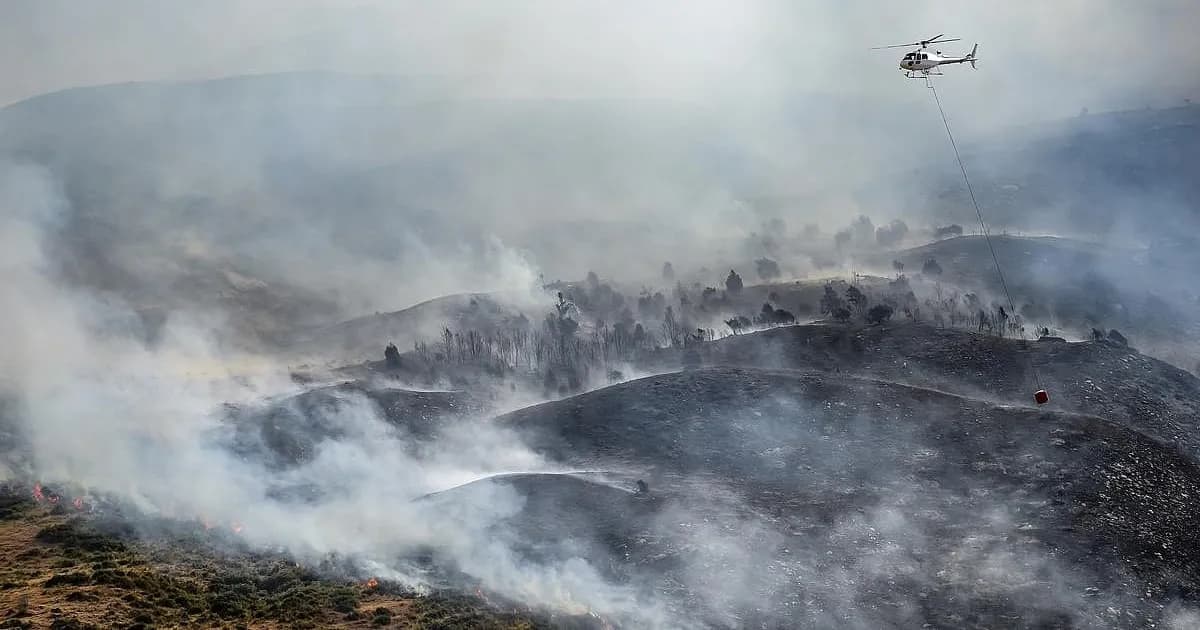 Incendios forestales: el peligro oculto de las partículas de humo ultrafinas para la salud