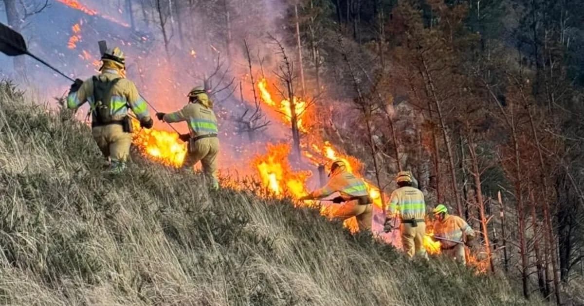 Incendios en Cantabria y Asturias: 60 focos en solo 24 horas