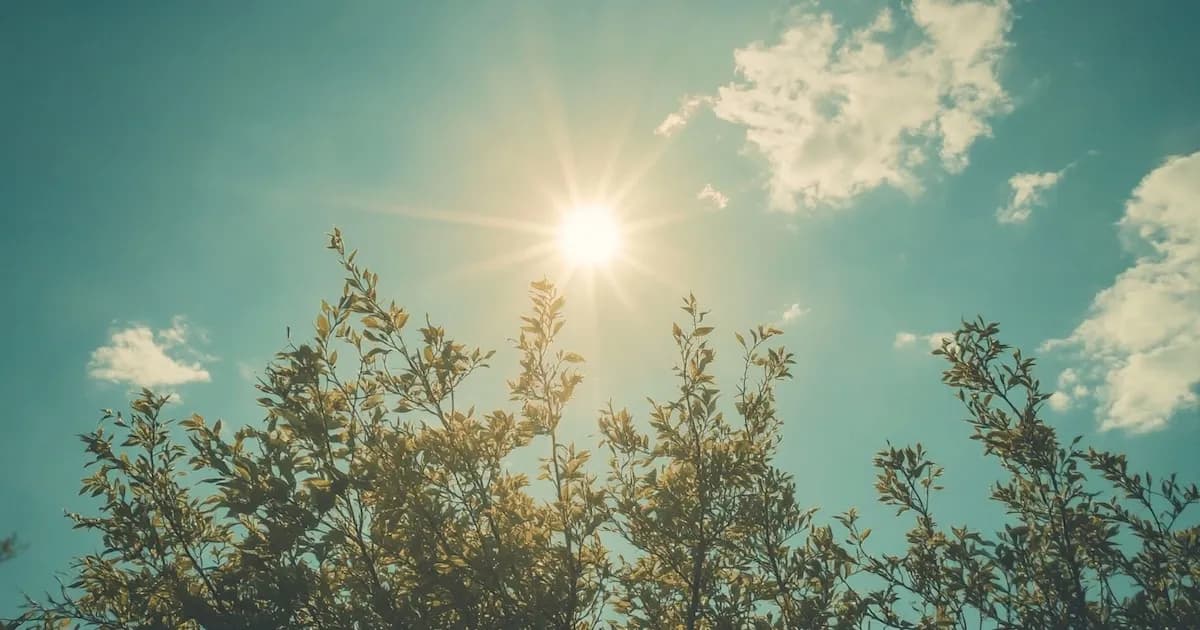 Temperaturas en ascenso y cielo despejado marcan el miércoles en Buenos Aires