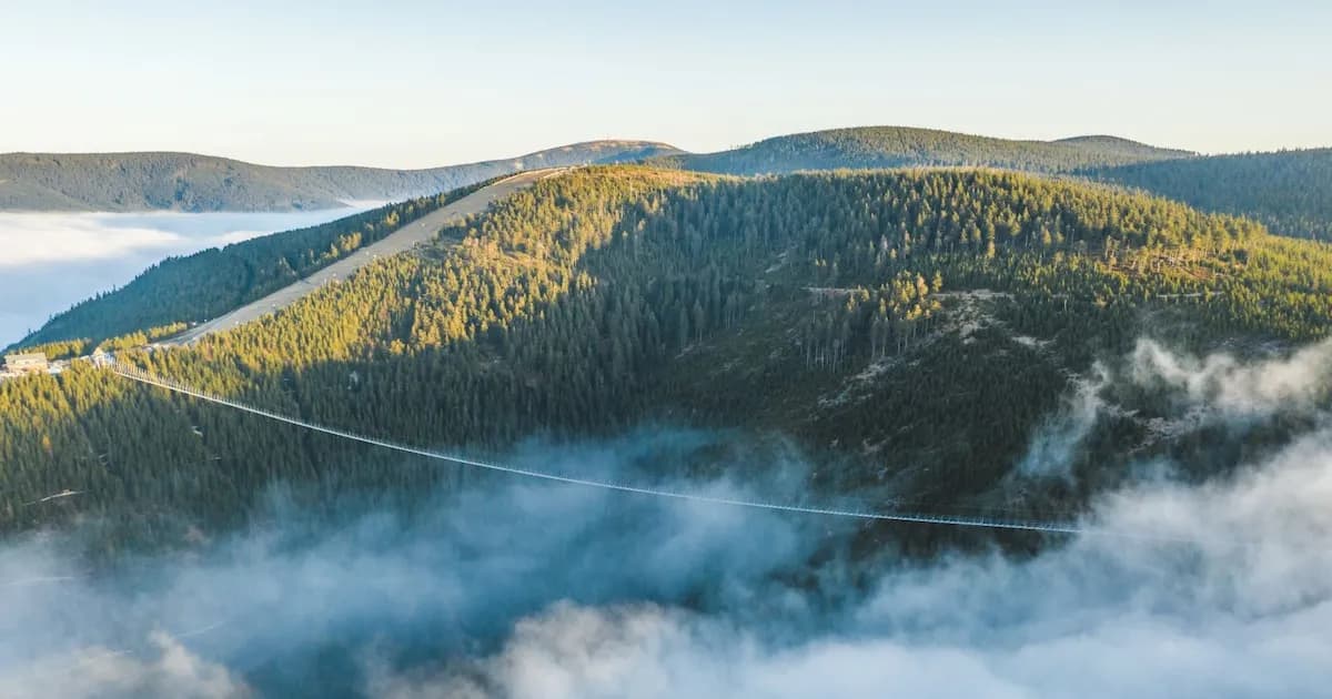 Actualidad: El puente peatonal más amplio del mundo está en el centro de Europa: casi 1000 metros de largo en medio de la naturaleza