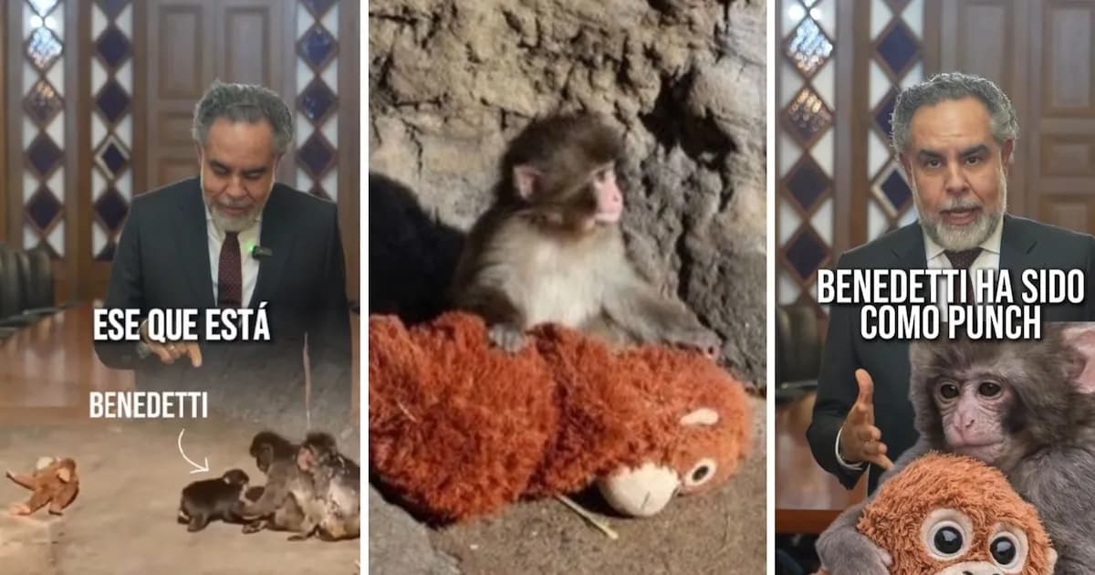 El Ministro Benedetti se Identifica con el Macaco Punch y Habla de Injusticias