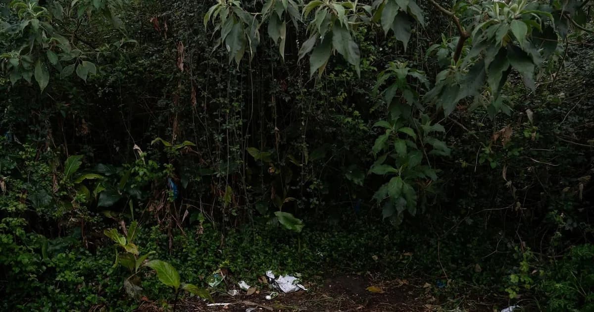 Piden 33 años de prisión para 'O Chioleiro' por asesinato en Vigo