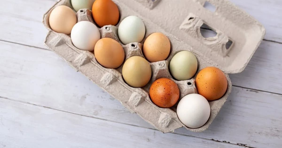 La introducción temprana de huevos podría disminuir el riesgo de alergias infantiles, revela un estudio