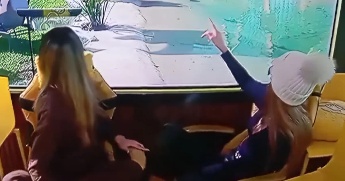 Alarma en Gran Hermano: confusión por el ingreso de una persona en el tejado